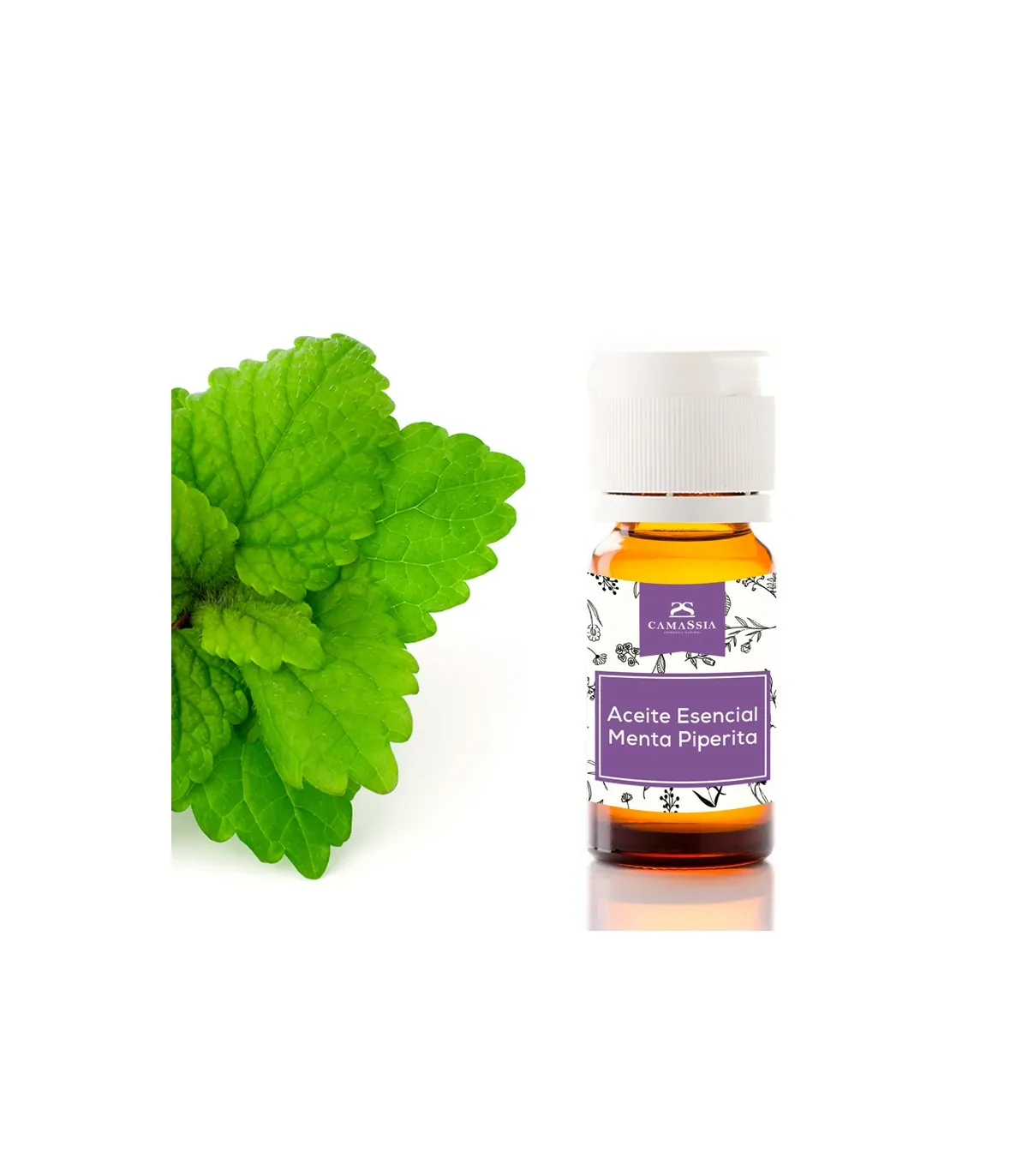 Aceite Esencial de Menta (10 ml) 3 Aceite Esencial de Menta (10 ml)