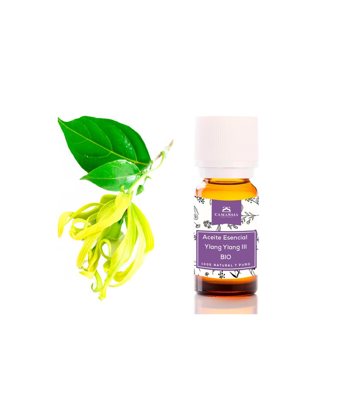 huile essentielle d´YLANG YLANG 10ml 3 huile essentielle d´YLANG YLANG 10ml