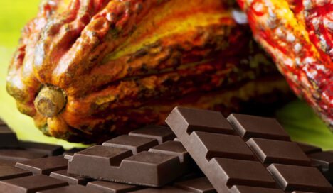 cacao