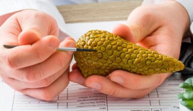 Alimentos que pueden incrementar la actividad pancreatica