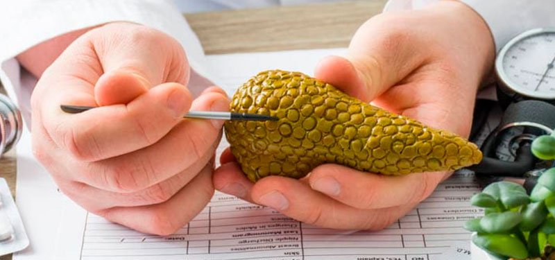 Alimentos que pueden incrementar la actividad pancreatica