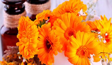 Beneficios de la Calendula