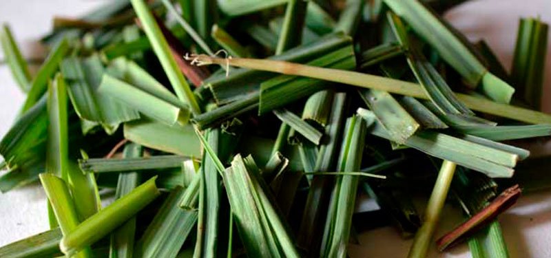 Cómo purificar tu organismo con lemongrass