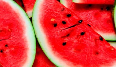 Importancia de la sandia en nuestra dieta
