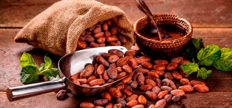 Cacao Amazónico: Alimento con alto poder nutritivo y energético