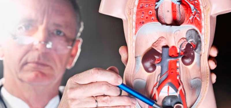 Como combatir naturalmente la inflamacion de la prostata