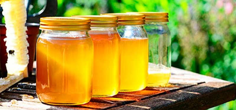 Endulzantes Naturales: alternativa al azúcar refinado y adictivo