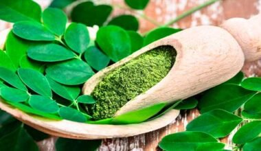 La Moringa aporte nutricional y beneficios para la salud
