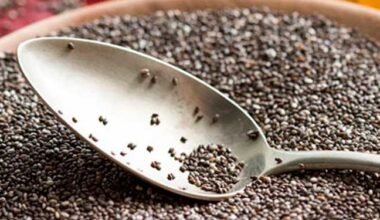chia web