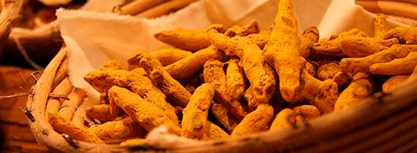 propiedades de la curcuma