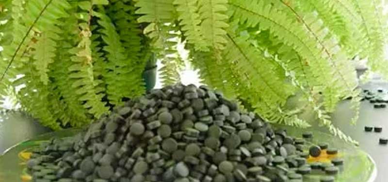 La espirulina: usos, beneficios y estudios realizados