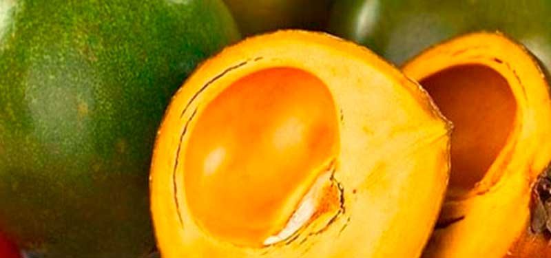 Lucuma o lucma, fruta exquisita para postres