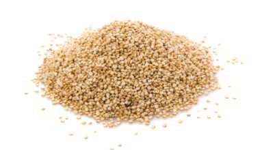 grano quinoa
