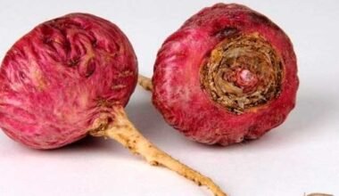 maca roja