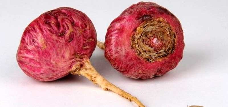 Maca roja, nuevos estudios científicos