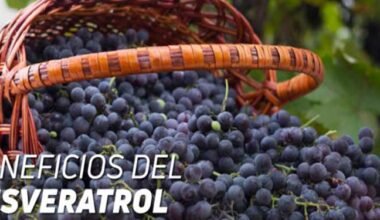 El Resveratrol propiedades beneficios y estudios realizados