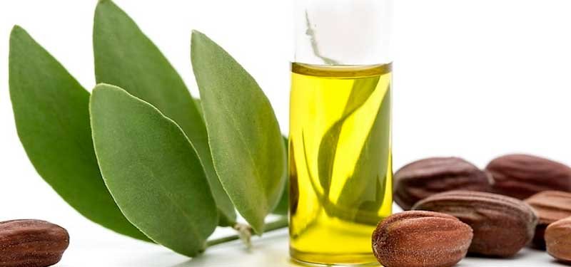 Jojoba, el aceite para el cabello y la piel