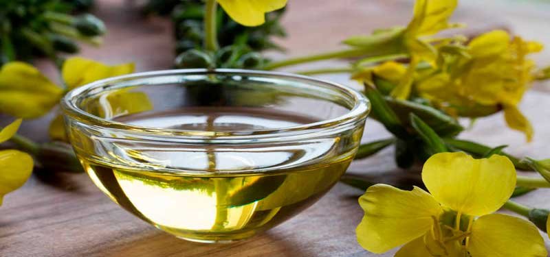 Aceite de Onagra, propiedades y beneficios