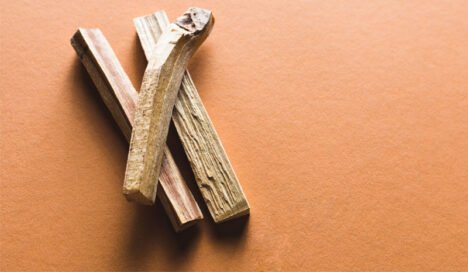 Palo Santo