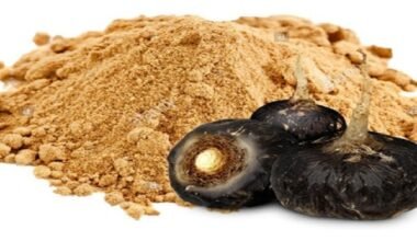 Maca negra
