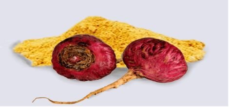 Maca roja
